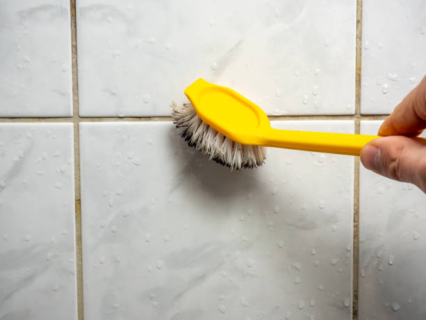 Best Basement Mold Remediation in Josephine, TX