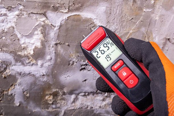 Best Residential Mold Remediation in Josephine, TX