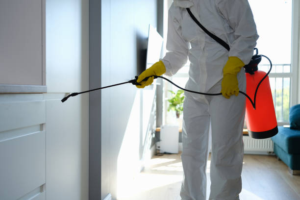 Professional Mold Remediation in Josephine, TX