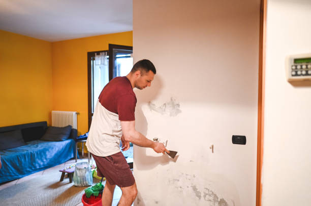 Best Insurance-Related Mold Remediation in Josephine, TX