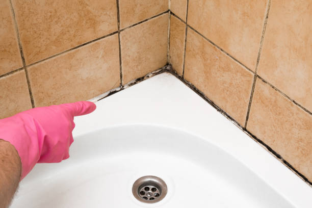Best Industrial Mold Remediation in Josephine, TX